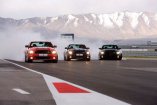 Neue Shelby Mustang GT500KR-Bilder!!: Shelby setzt den King of the Road optimal in Bild!