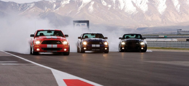 Neue Shelby Mustang GT500KR-Bilder!!: Shelby setzt den King of the Road optimal in Bild!