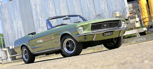 1968er Ford Mustang Convertible: Florida-Fund: Pony Car Survivor in ungewöhnlicher Farbe