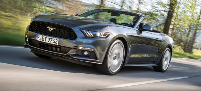 Dollarkurs schuld? : Ford Mustang wird teurer