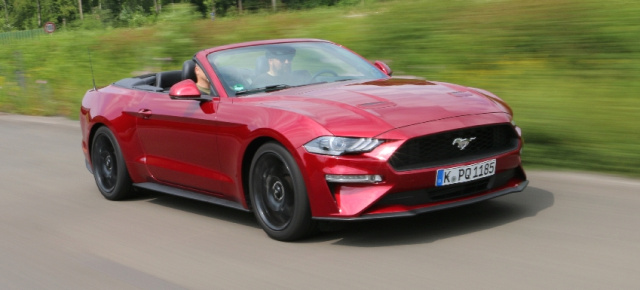 Ecoboost hat gegen V8 verloren!: Kein Ford Mustang mit Vierzylinder mehr in Europa