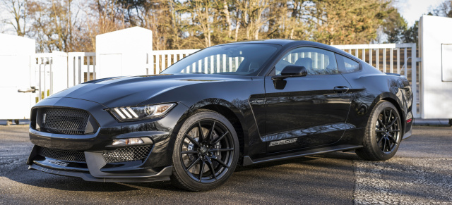 Neu bei Geiger Cars: 533 PS: Ford Mustang Shelby GT350