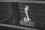 4. American Horsepower Show, 11. September, Dinslaken:: Shelby Special zum Sechszigsten - zeigt Euren Shelby in der Sonderschau!