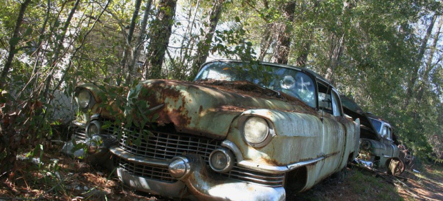 Alte Amerikanische Autos: Broken Dreams: Schrott wird Kult: Roadside Relics, Gainesville, FL (USA)