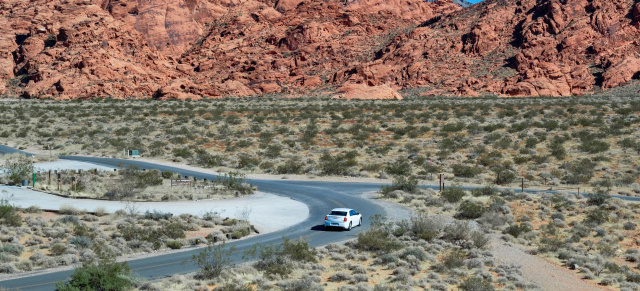 Ratgeber: Roadtrip USA: Was muss vorher beachtet werden?