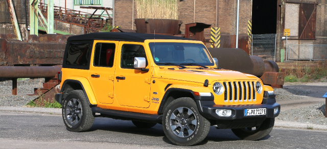 Fahrbericht Jeep Wrangler 4xe: The Hybrid Horse