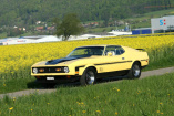 Ford Mustang Mach I: 72er Mustang Mach I - der Blechpirat