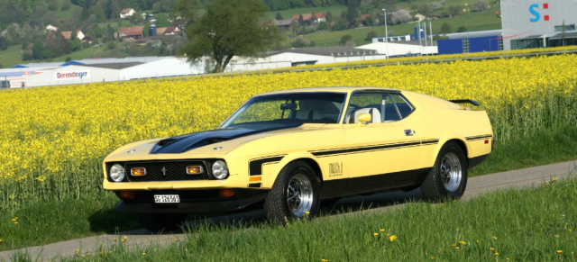 Ford Mustang Mach I: 72er Mustang Mach I - der Blechpirat