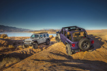 Lila, Layla oder "Reign"?: Zwei neue Farben für den Jeep® Wrangler