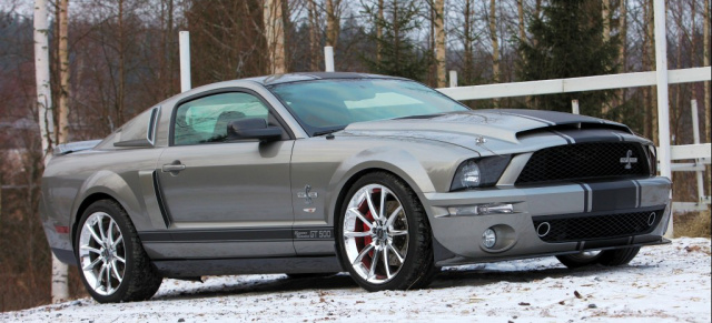 Super Snake im Schnee: 2009 Shelby GT-500 : Winter-US-Car für einen Rallye-Weltmeister