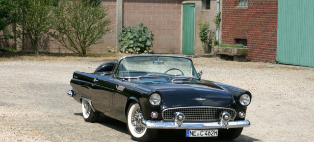 Her Name is Tinkerbell - 1956er Ford Thunderbird: US-Car als Urlaubsmitbringsel
