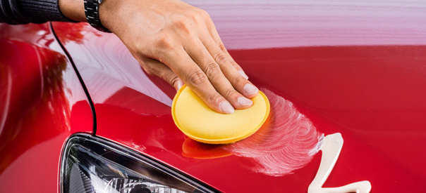 Ratgeber: Das hilft gegen Insektenreste und Vogelkot auf dem Auto