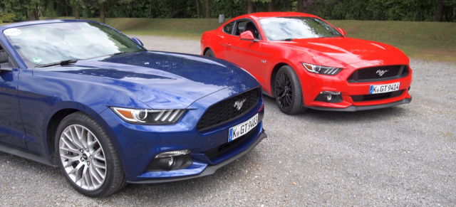 Doch schon gefahren:: AmeriCar.de fuhr den neuen Euro-Ford Mustang 