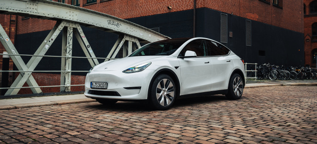 Kult-Elektroauto einfach mieten!: Starcar nimmt Tesla in die Flotte auf