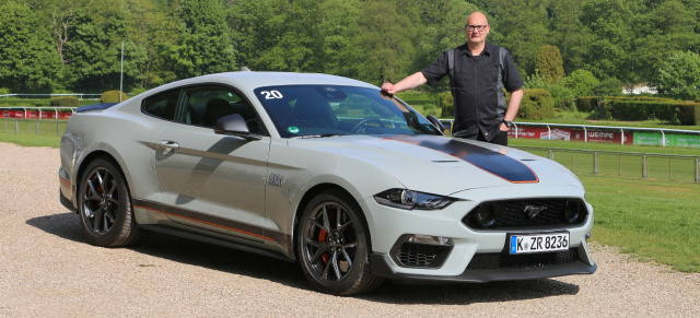 Schon gefahren: Ford Mustang Mach-1 mit 460 PS: Brot-und-Butter Shelby Mustang?