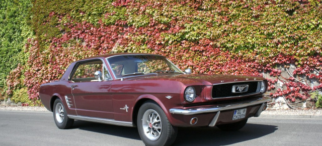 One real Survivor: 1966er Ford Mustang: US-Car im unrestaurierten Originalzustand
