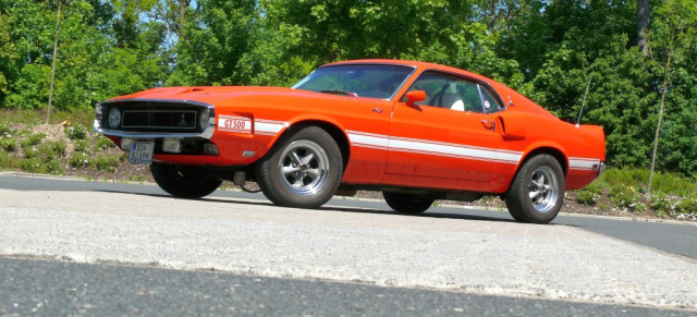 Rennnpferd Orange - 1969er Shelby GT500: Schrille Farbe und jede Menge Leistung: Muscle-Car pur!