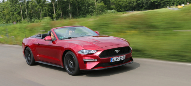 Fahrbericht: 2019er Ford Mustang Cabriolet 2.3 EcoBoost: Soul Sun Mate