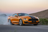 600 PS Mietwagen: 2019 Shelby GT-S SIxt Shelby Mustang
